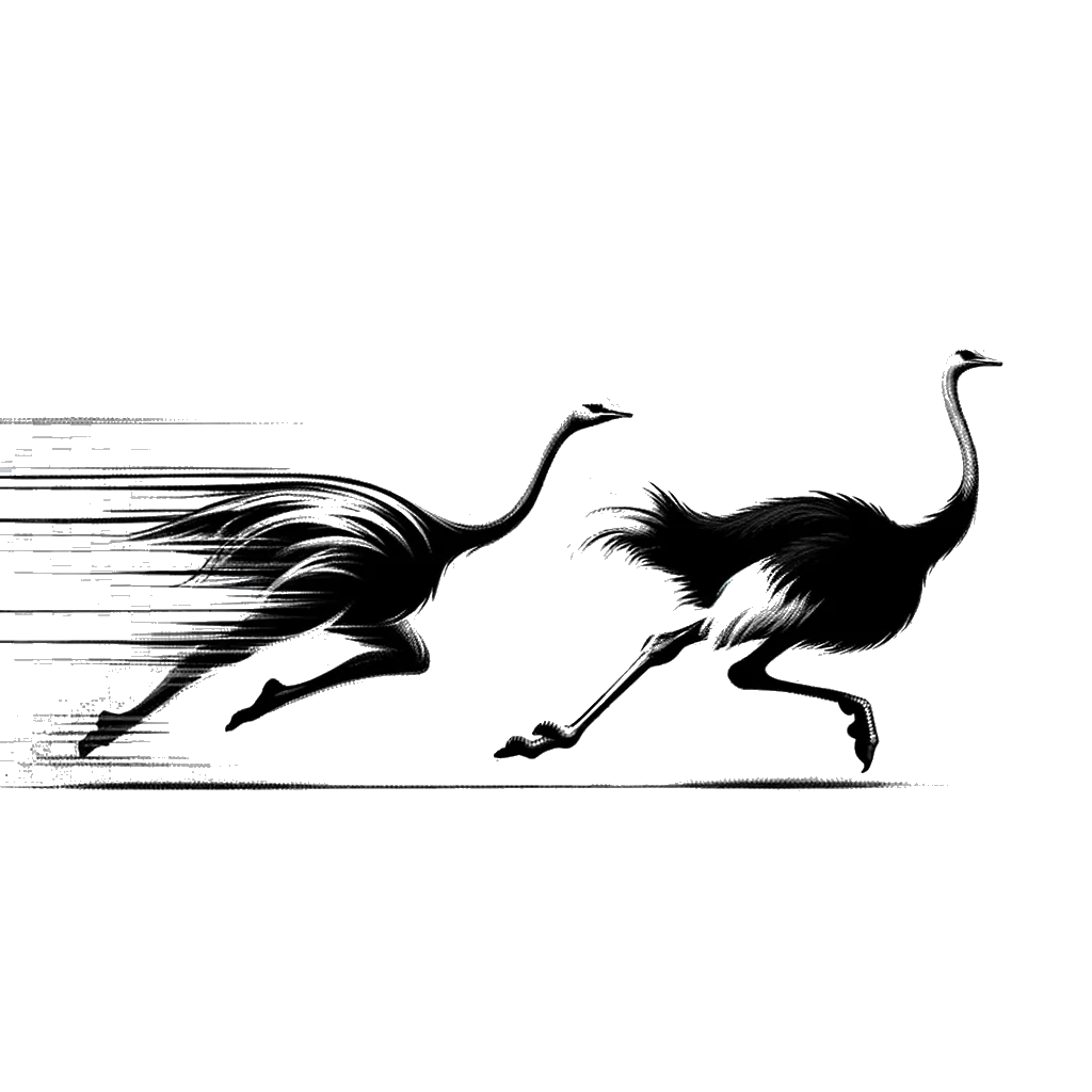 a realistic ostrich chasing another ostrich depicting the theme of obsession in black and white.